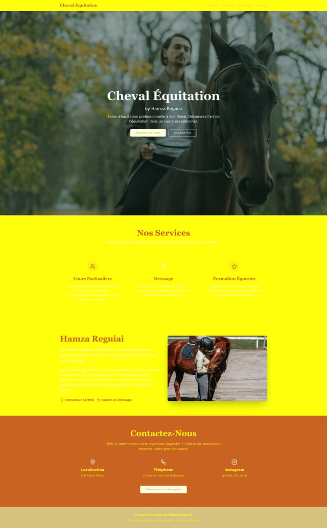 Website Design Needed