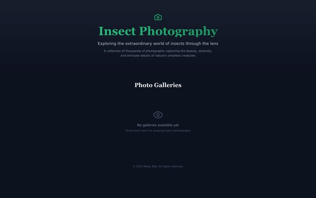 Insect Photo Portfolio