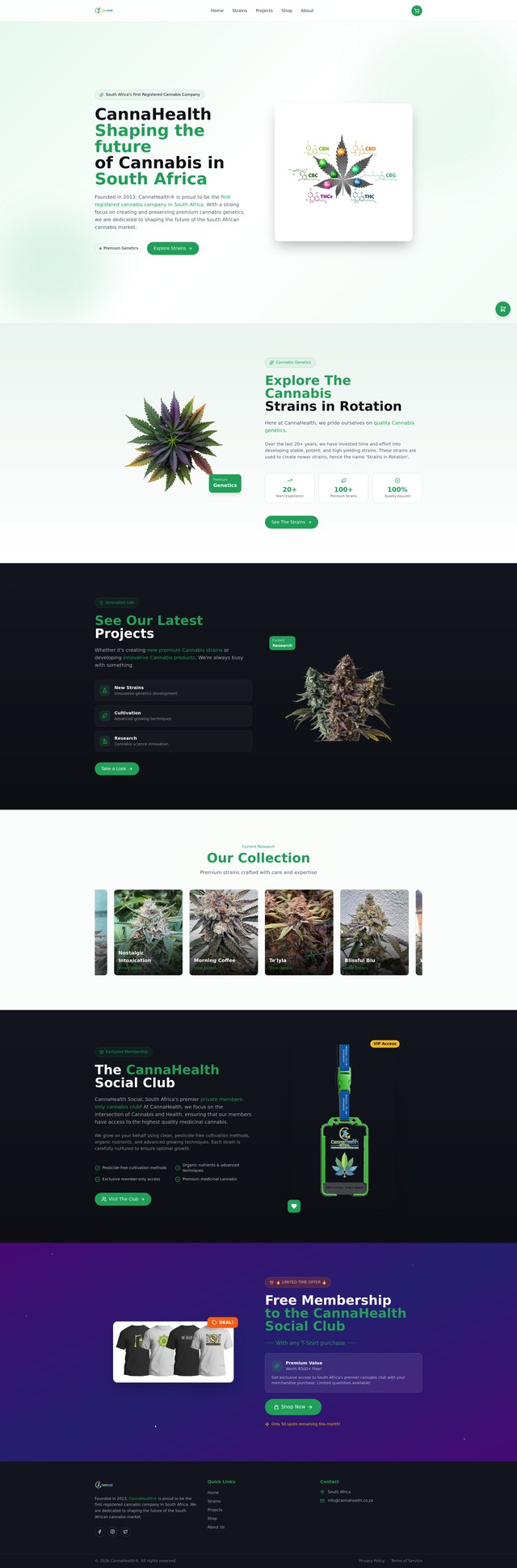 Website Modernization